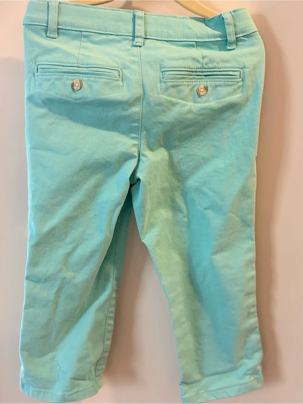 Gymboree Mint Green Bunny Print Button-Up Shirt and Chino Pants